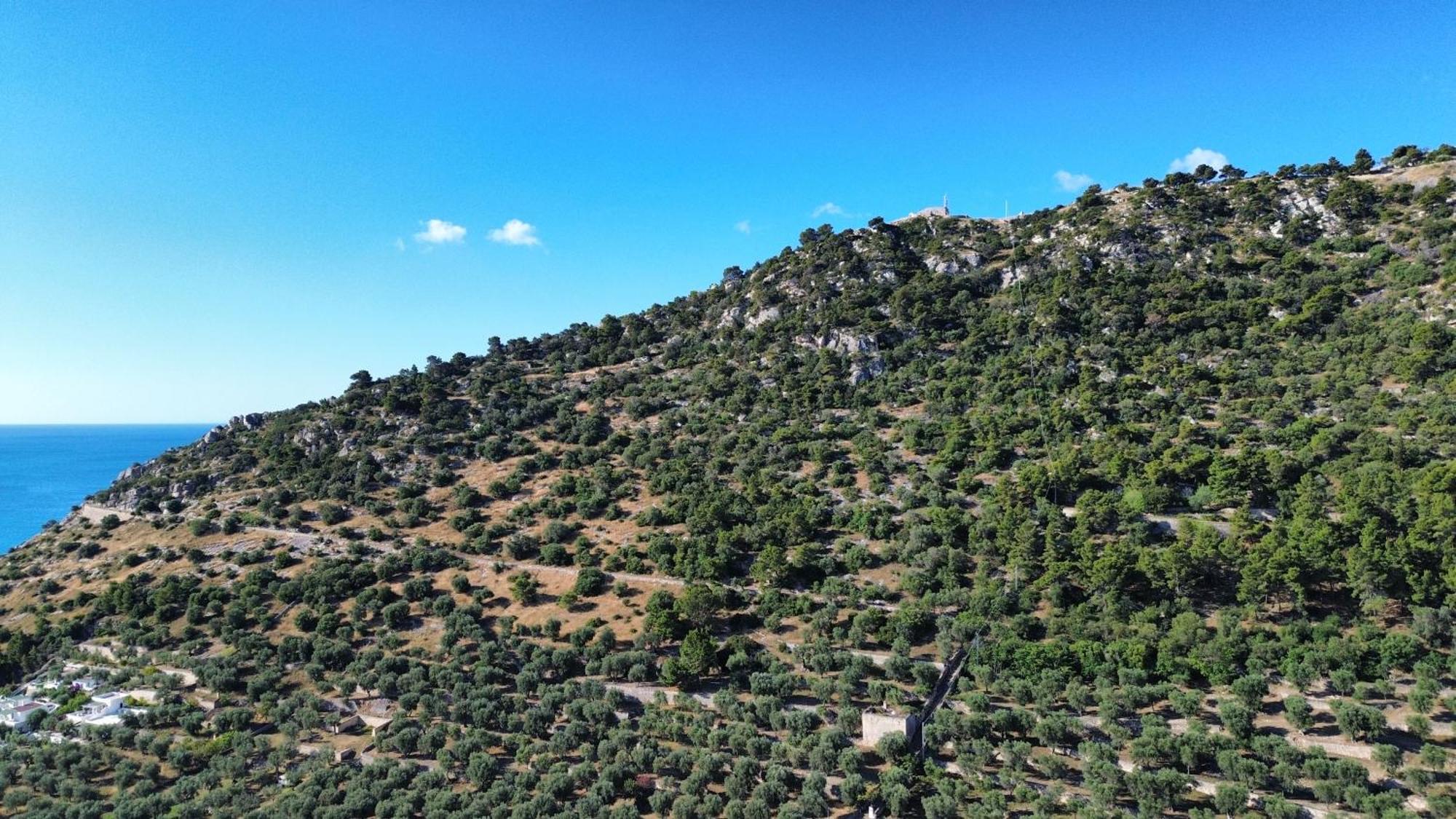 Olive&Sea Villa-Olive Mattinata Luaran gambar